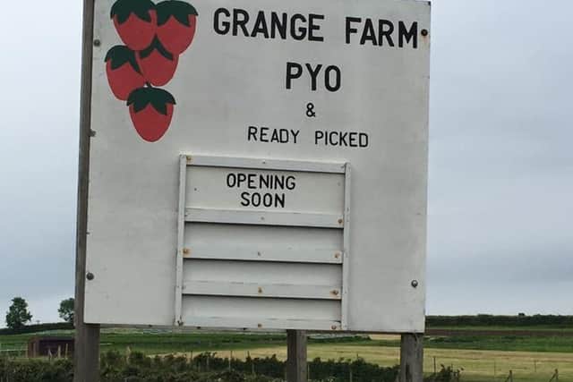 Harpole strawberry field is hoping to open in mid-June