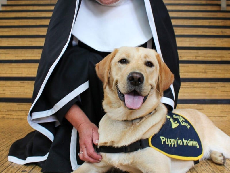 Wendi Peters and guide dog puppy Coco