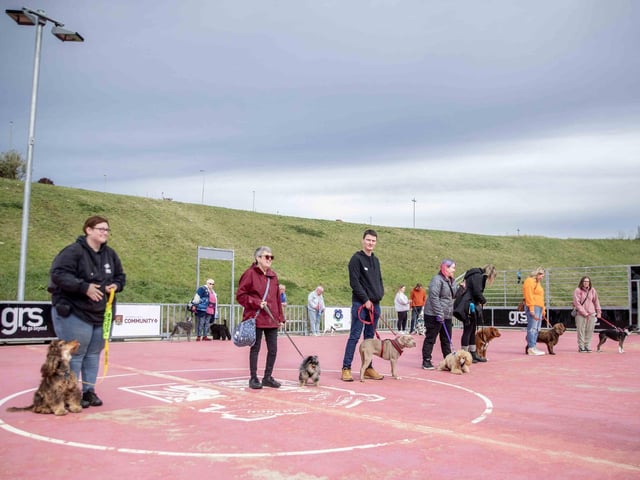 The flyball team hosted a fun dog show at Sixfields Stadium on Sunday September 29 to celebrate its milestone anniversary.