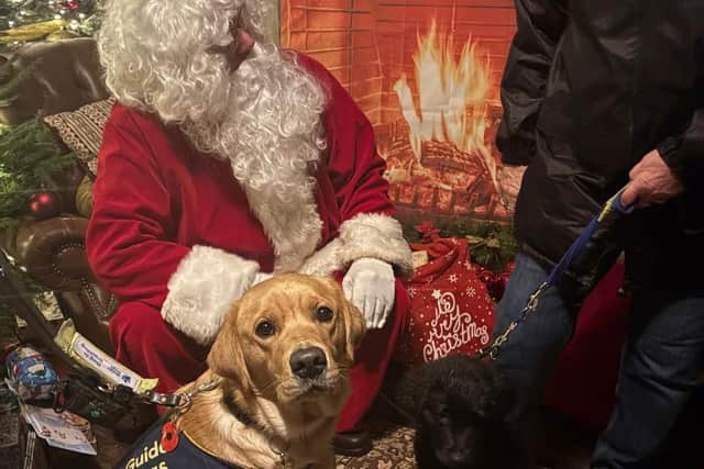 One of the guide dogs meets Father Christmas at Delapre Abbey
