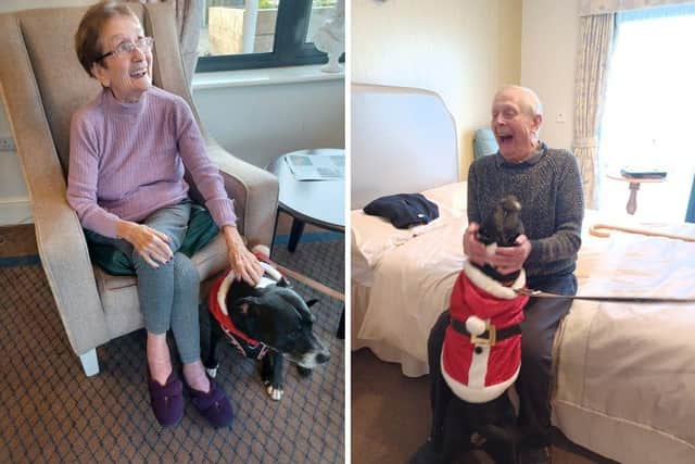 Having offered similar sessions with pets previously, Spencer House approached Pets As Therapy almost a year ago to kickstart the working relationship.