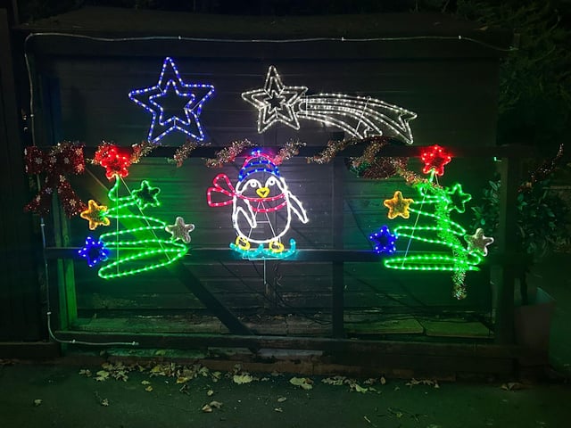 What originally began as their preschool children singing carols and Christmas songs, and only their families being invited along, has now been opened up to the public.