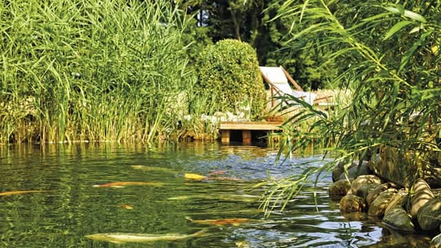All animals need water to thrive (Photo: Oase UK)