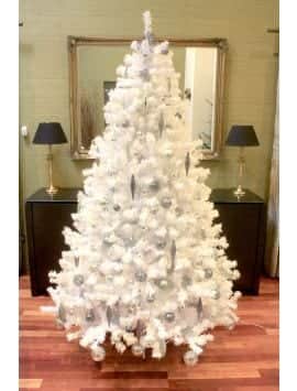 The Iridescent Bianca Pine Tree (4ft to 10ft)
