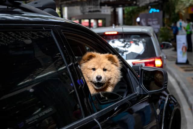 Did you know about these rules? (Photo: Ezra Acayan/Getty Images)