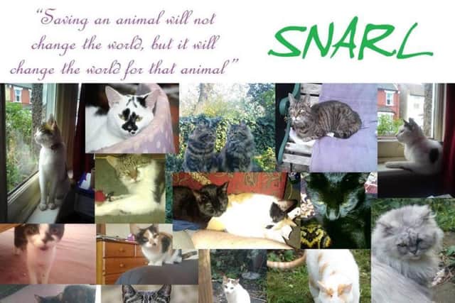South Northampton Animal Rescue and Liberation