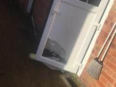 The backdoor of Chaka was kicked in.