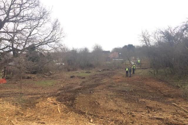 The development work raised environmental concerns with residents for nesting birds.
