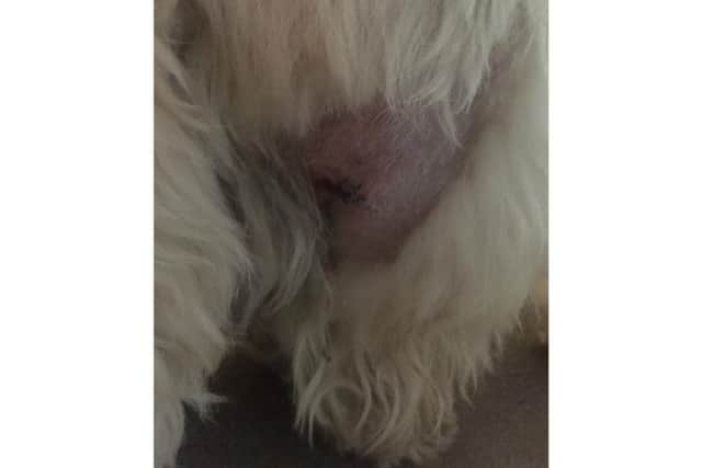 Ralph's leg was pulled from its socket and he now needs a 5,000 operation.