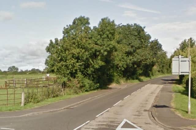 The sheep have escaped their field and are on the Kislingbury road near Rothersthorpe.