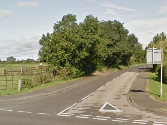 The sheep have escaped their field and are on the Kislingbury road near Rothersthorpe.