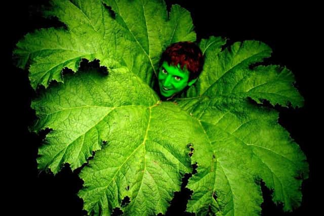 A Midsummer Night's Dream