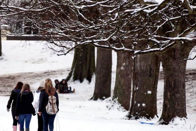 A snowy day in Abington Park back in 2013. (Picture: Kirsty Edmonds)