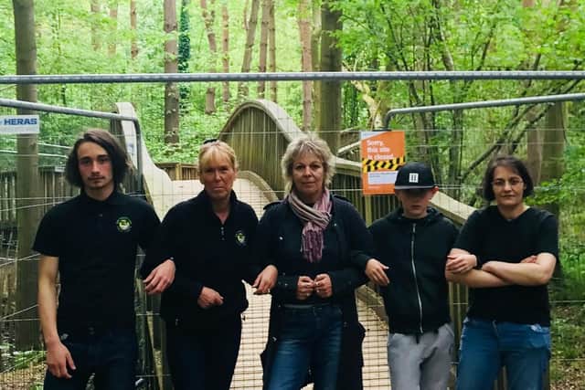 The staff at the Forest Cafe says losing the Tree Top Walk will damage their business.