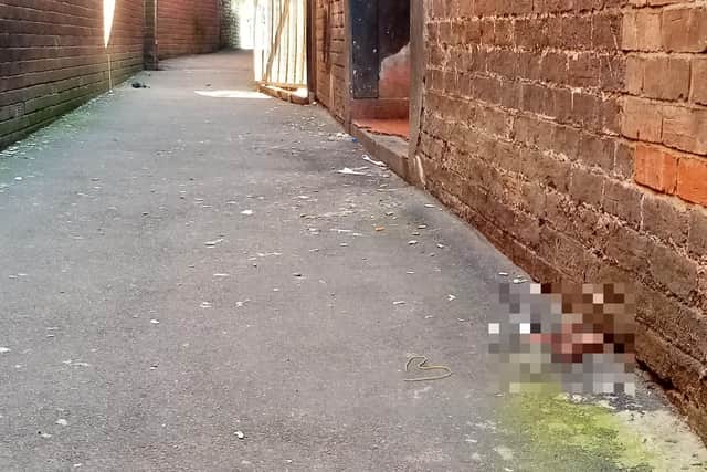 The borough council has called the alleyway a "persistent problem" due to antisocial behaviour.