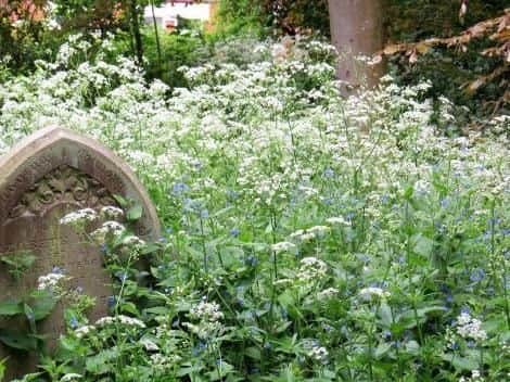 Kingsthorpe New Churchyard, Vicarage Lane, Northampton,NN2 6QD