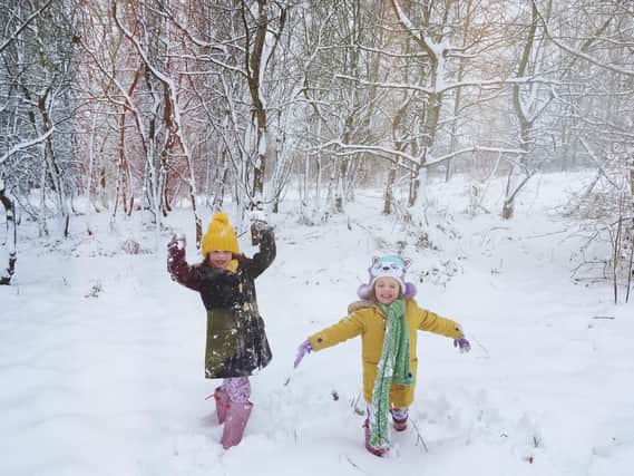 Fun in Bradlaugh Fields Picture Catherine Kendall