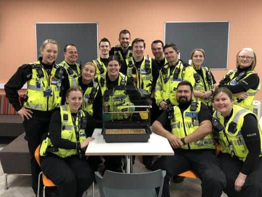 Northamptonshire Police bought a new budgie for a victim after hers was stolen in a burglary.