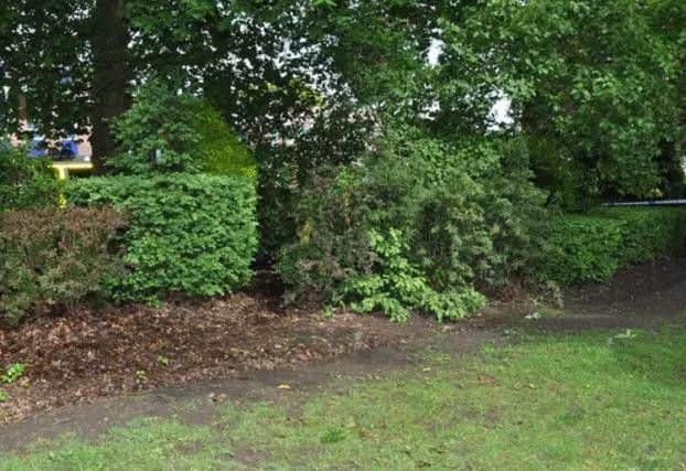 Manor Park where a newborn baby girl was found with multiple head injuries.
