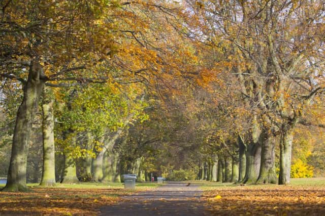 Detectives are appealing for witnesses after a woman was raped in Abington Park.