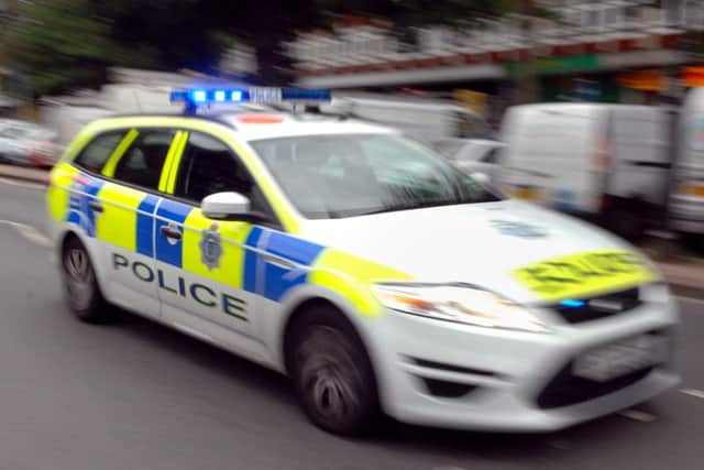Police are appealing for help in tracing the pony's owner