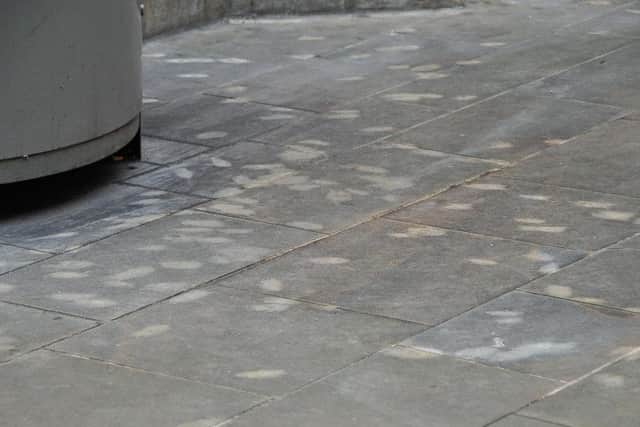 Anyone caught dropping chewing gum will be issued with a fixed penalty notice.