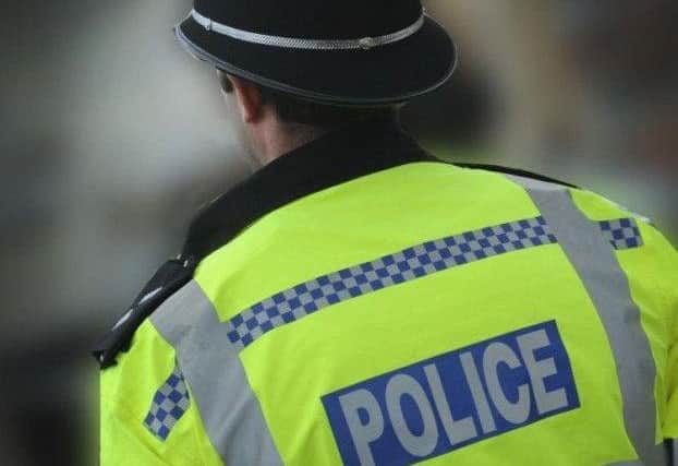 Police are trying to find the owner of the horse