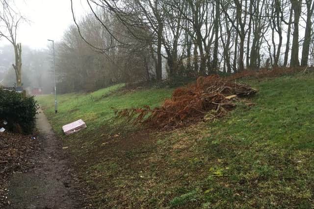 A dumped mattress sits on a pathway in Lings. Residents in the east of Northampton believe waste contractors Enterprise have 'given up'.