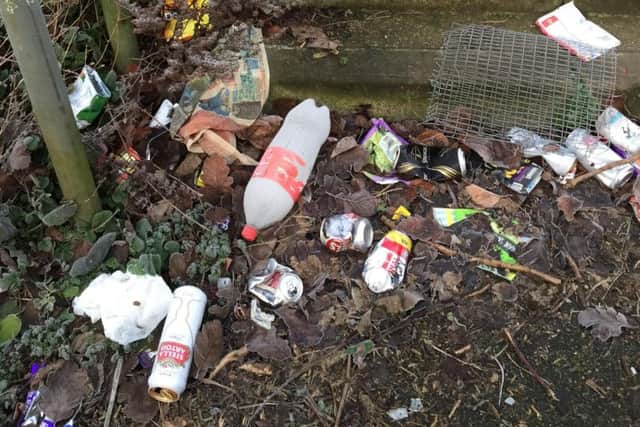 Sally finds herself trying to keep on top of the litter on her estate and is calling for parents to educate their children to use the bin.