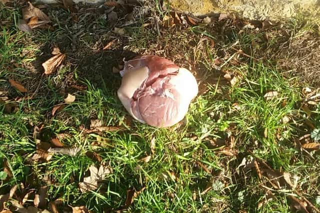 Vinial's Facebook post has been shared over 6,000 times. (Pictured: the meat found in Dallington Park).