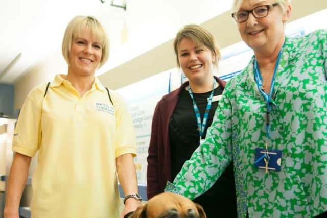 L-R: Tara Irons Pets as Therapy volunteer, Emma Wimpress head of volunteer services and Dr Sonia Swart chief executive of Northampton General Hospital.