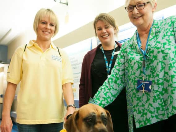 L-R: Tara Irons Pets as Therapy volunteer, Emma Wimpress head of volunteer services and Dr Sonia Swart chief executive of Northampton General Hospital.