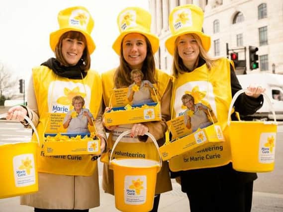 Do you have what it takes to be a daffodil volunteer?