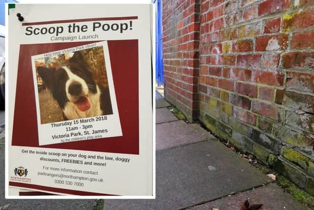 The Scoop The Poop campaign will launch on Victoria Park on March 15.