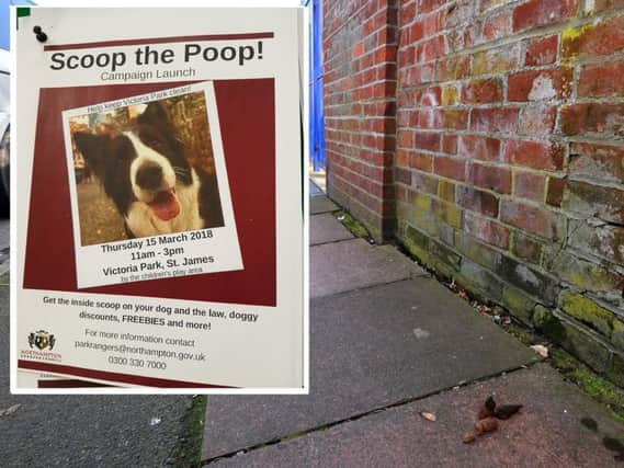 The Scoop The Poop campaign will launch on Victoria Park on March 15.