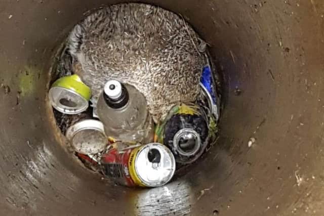 The rabbit had fallen into a six foot manhole when it was discovered by two teens.