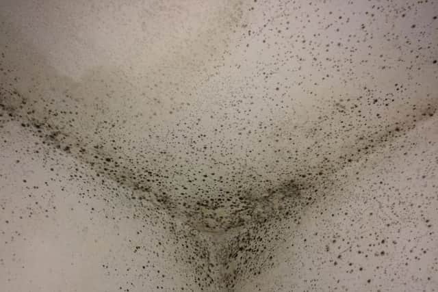 Mould is one of the most common forms of category one hazard.