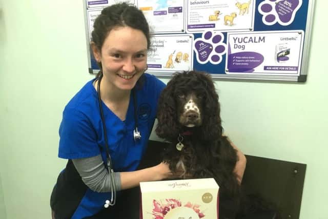 Northampton vet Elissa Tennant-BRown is warning dog and cat owners to be aware of the dangers chocolate can pose to their pets this easter.