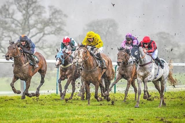 TOWCESTER THRILLER - the 2m handicap hurdle at Towcester on March 15 was a thrilling affair with six of the nine runners holding a chance at the last flight. Llantara, Thats My Rabbit and Commodore are all entered to run again on Thursday (Picture: David Yanez)