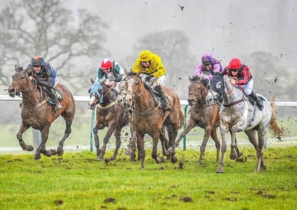 TOWCESTER THRILLER - the 2m handicap hurdle at Towcester on March 15 was a thrilling affair with six of the nine runners holding a chance at the last flight. Llantara, Thats My Rabbit and Commodore are all entered to run again on Thursday (Picture: David Yanez)