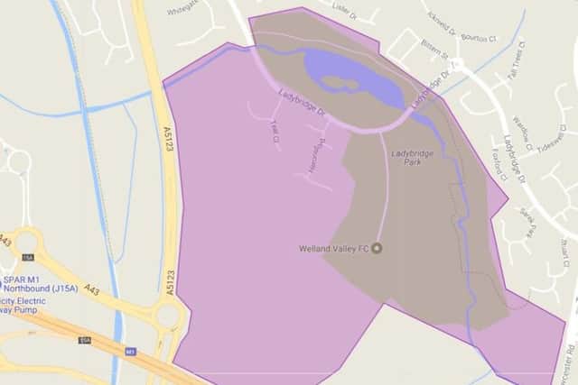 The area marked in pink has been eyed for development. The area marked by the council encompasses all of Ladybridge Park.