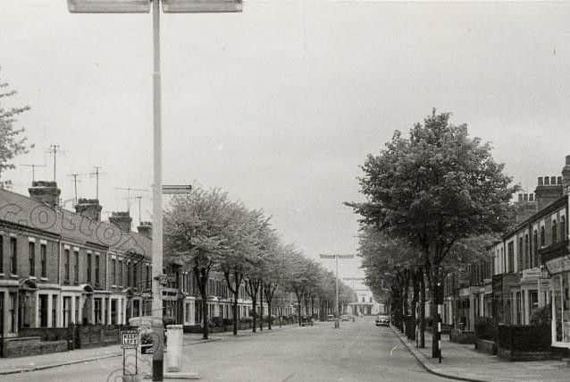 St Leonard's Road was once lined with trees as this photo from 1964 shows. Courtesy of the Far Cotton History Group. Thanks to Robin Puyer.