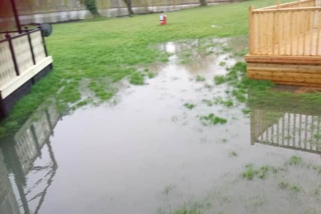 The sewage puddle