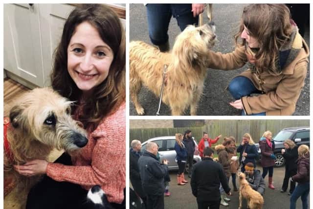 Bertie went missing for seven hours before Hannah's pack of family, friends and total strangers found him.