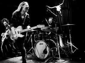 Joanne Shaw Taylor