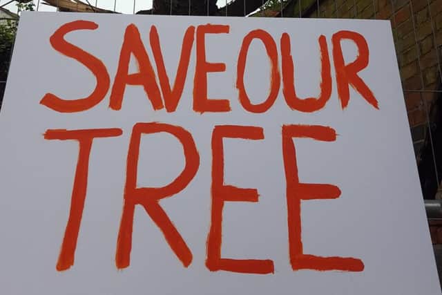 Residents, fighting for this tree, have observed bats in the area - and they believe they may rely on the tree as a source of food.