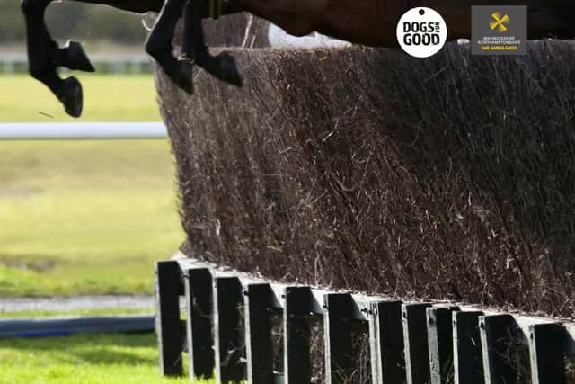 Grafton Races and Family Country Day