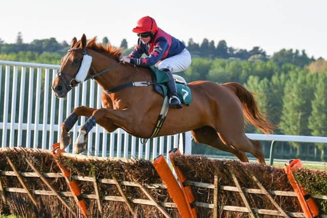 Jockey Vicky Wade in full flow with Gentleman Farmer en route to victory in the 2m 3f handicap hurdle at Towcester on Monday evening (Picture: David Yanez)