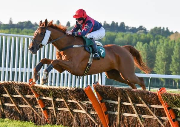 Jockey Vicky Wade in full flow with Gentleman Farmer en route to victory in the 2m 3f handicap hurdle at Towcester on Monday evening (Picture: David Yanez)