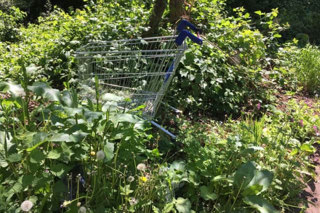 Shopping trolleys from Tesco and B&M bargains litter the Lings estate.